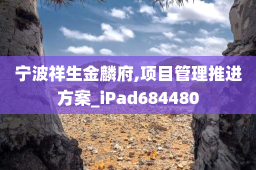 宁波祥生金麟府,项目管理推进方案_iPad684480