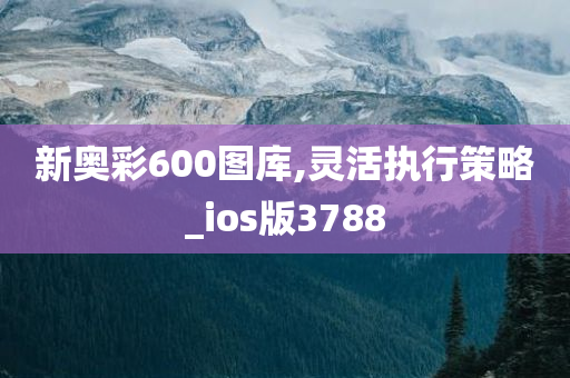 新奥彩600图库,灵活执行策略_ios版3788