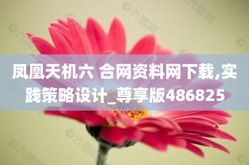 凤凰天机六 合网资料网下载,实践策略设计_尊享版486825