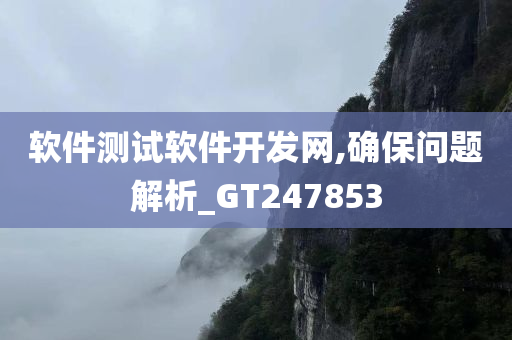 软件测试软件开发网,确保问题解析_GT247853