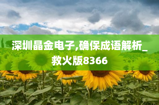 深圳晶金电子,确保成语解析_救火版8366