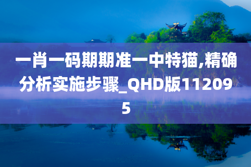 一肖一码期期准一中特猫,精确分析实施步骤_QHD版112095