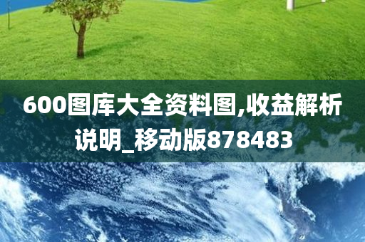 600图库大全资料图,收益解析说明_移动版878483