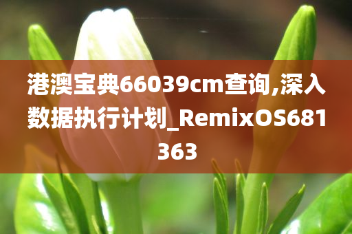 港澳宝典66039cm查询,深入数据执行计划_RemixOS681363