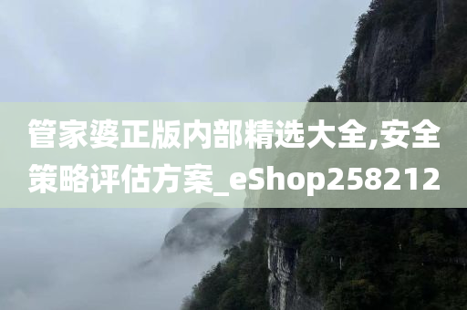 管家婆正版内部精选大全,安全策略评估方案_eShop258212