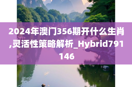 2024年澳门356期开什么生肖,灵活性策略解析_Hybrid791146