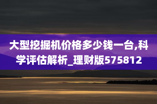 大型挖掘机价格多少钱一台,科学评估解析_理财版575812