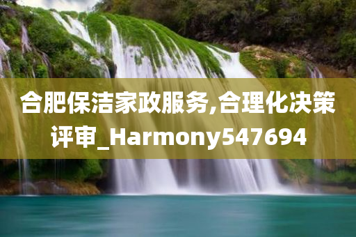 合肥保洁家政服务,合理化决策评审_Harmony547694