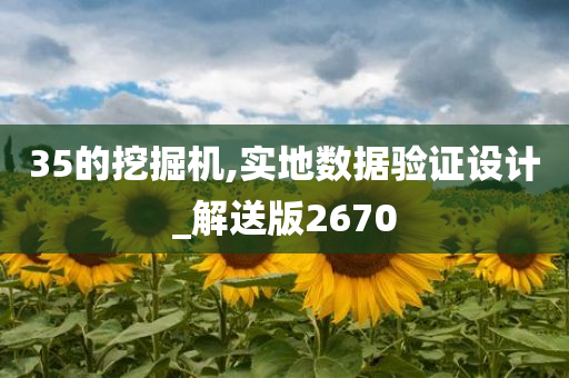 35的挖掘机,实地数据验证设计_解送版2670