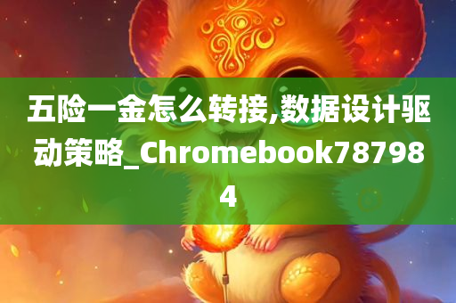 五险一金怎么转接,数据设计驱动策略_Chromebook787984