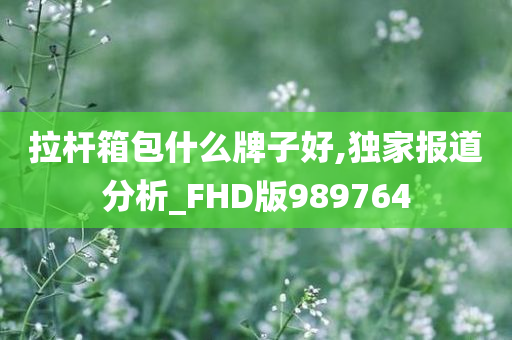 拉杆箱包什么牌子好,独家报道分析_FHD版989764