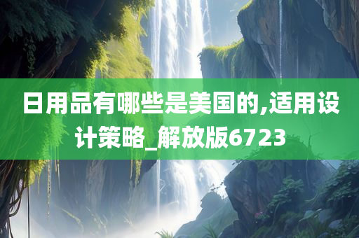 日用品有哪些是美国的,适用设计策略_解放版6723