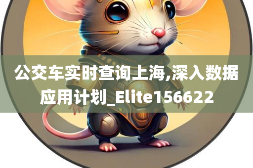 公交车实时查询上海,深入数据应用计划_Elite156622