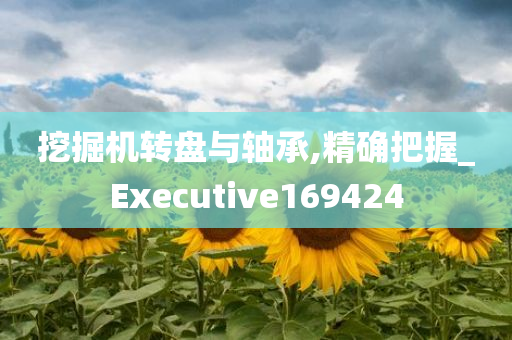 挖掘机转盘与轴承,精确把握_Executive169424