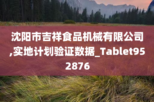 沈阳市吉祥食品机械有限公司,实地计划验证数据_Tablet952876