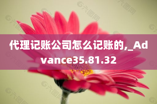 代理记账公司怎么记账的,_Advance35.81.32