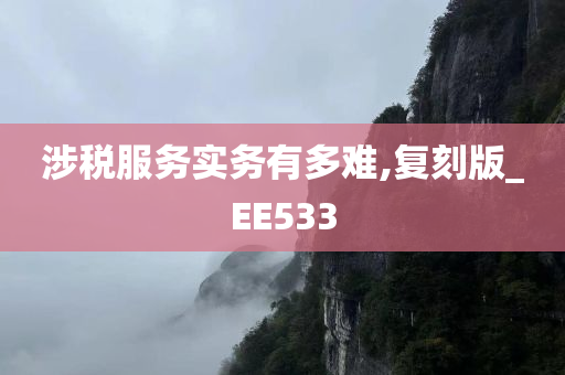 涉税服务实务有多难,复刻版_EE533