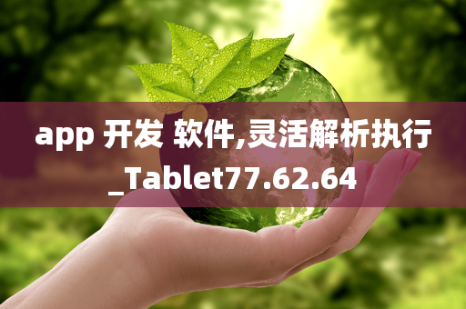 app 开发 软件,灵活解析执行_Tablet77.62.64