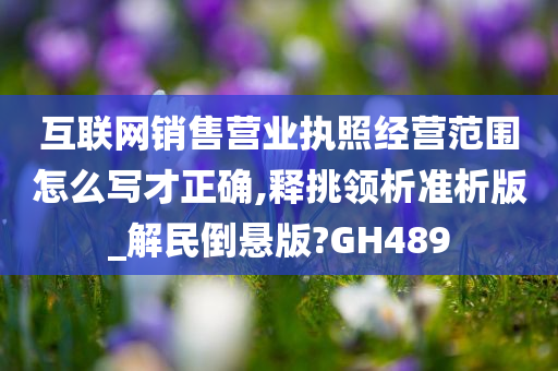 互联网销售营业执照经营范围怎么写才正确,释挑领析准析版_解民倒悬版?GH489