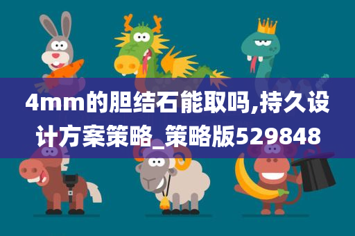 4mm的胆结石能取吗,持久设计方案策略_策略版529848