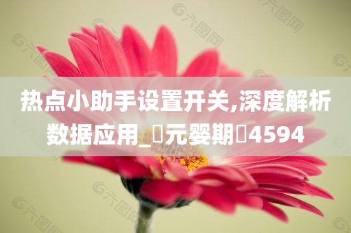 热点小助手设置开关,深度解析数据应用_‌元婴期‌4594