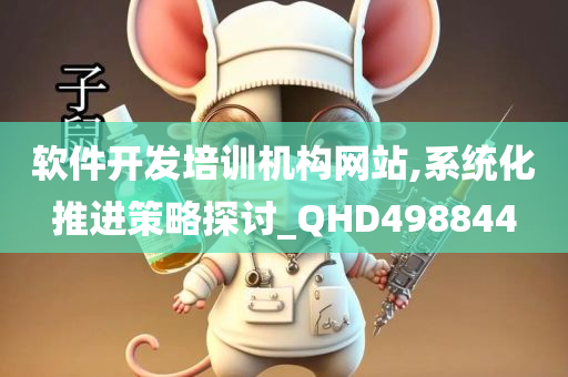 软件开发培训机构网站,系统化推进策略探讨_QHD498844