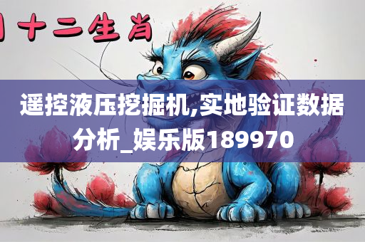 遥控液压挖掘机,实地验证数据分析_娱乐版189970