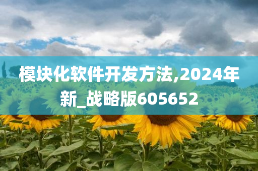 模块化软件开发方法,2024年新_战略版605652