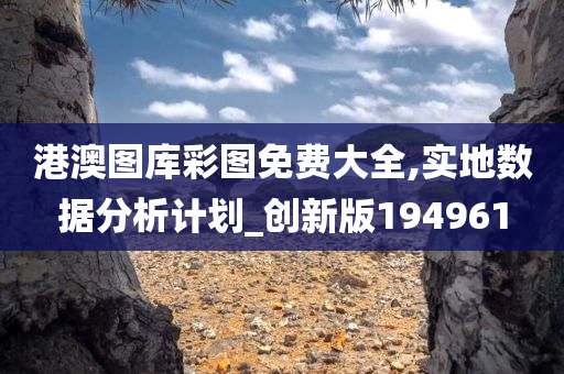 港澳图库彩图免费大全,实地数据分析计划_创新版194961