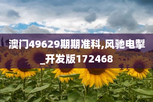 澳门49629期期准科,风驰电掣_开发版172468