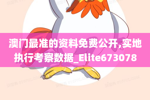 澳门最准的资料免费公开,实地执行考察数据_Elite673078