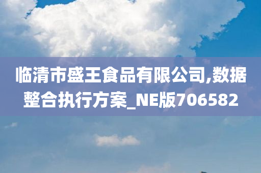 临清市盛王食品有限公司,数据整合执行方案_NE版706582