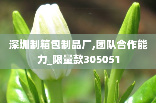 深圳制箱包制品厂,团队合作能力_限量款305051