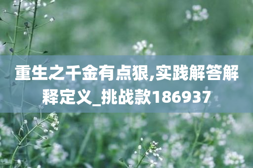 重生之千金有点狠,实践解答解释定义_挑战款186937