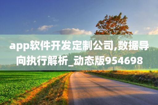 app软件开发定制公司,数据导向执行解析_动态版954698