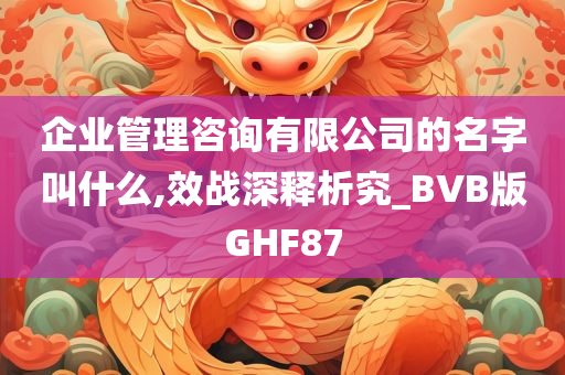 企业管理咨询有限公司的名字叫什么,效战深释析究_BVB版GHF87