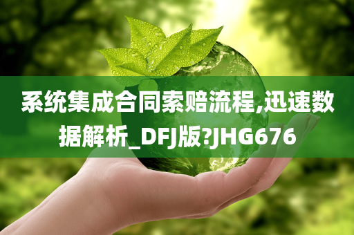 系统集成合同索赔流程,迅速数据解析_DFJ版?JHG676