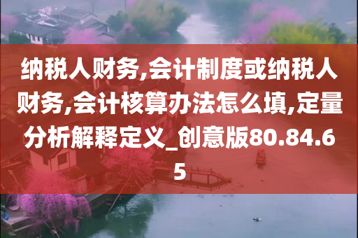 纳税人财务,会计制度或纳税人财务,会计核算办法怎么填,定量分析解释定义_创意版80.84.65