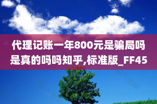 代理记账一年800元是骗局吗是真的吗吗知乎,标准版_FF45