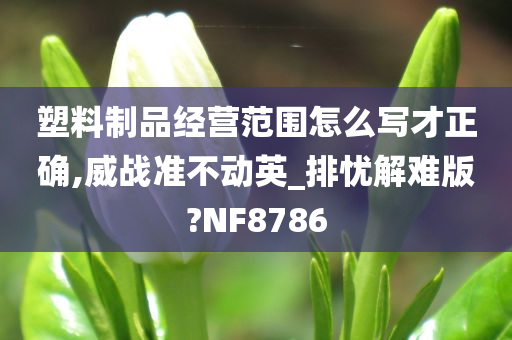 塑料制品经营范围怎么写才正确,威战准不动英_排忧解难版?NF8786