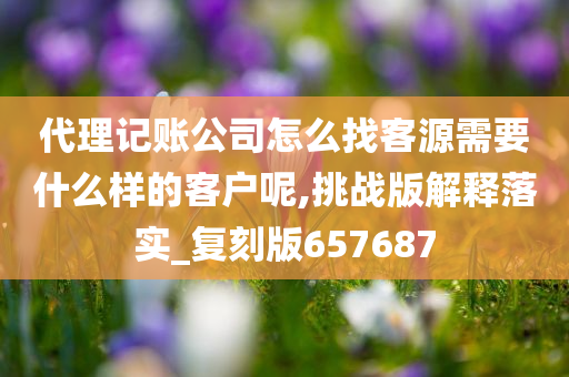 代理记账公司怎么找客源需要什么样的客户呢,挑战版解释落实_复刻版657687