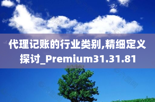 代理记账的行业类别,精细定义探讨_Premium31.31.81