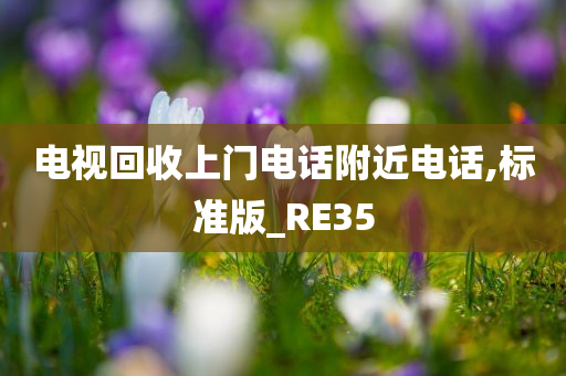 电视回收上门电话附近电话,标准版_RE35