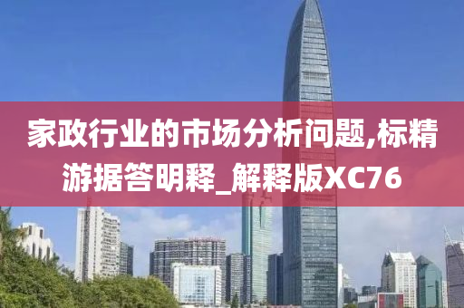 家政行业的市场分析问题,标精游据答明释_解释版XC76