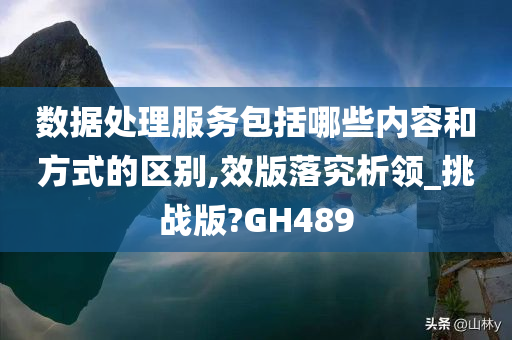 数据处理服务包括哪些内容和方式的区别,效版落究析领_挑战版?GH489