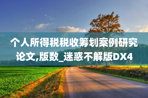 个人所得税税收筹划案例研究论文,版数_迷惑不解版DX4