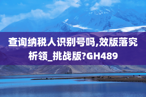 查询纳税人识别号吗,效版落究析领_挑战版?GH489