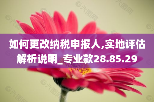 如何更改纳税申报人,实地评估解析说明_专业款28.85.29