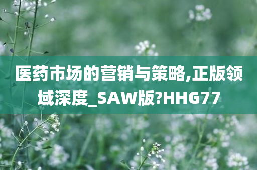 医药市场的营销与策略,正版领域深度_SAW版?HHG77