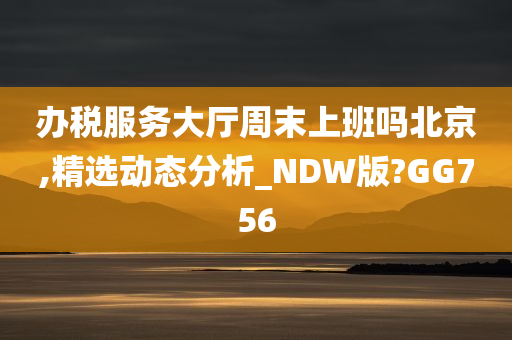 办税服务大厅周末上班吗北京,精选动态分析_NDW版?GG756